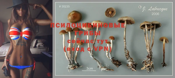 ешки Армянск